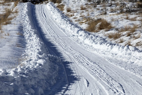 Tire tracks through snow