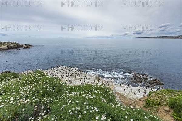 Coastline in San Diego, California