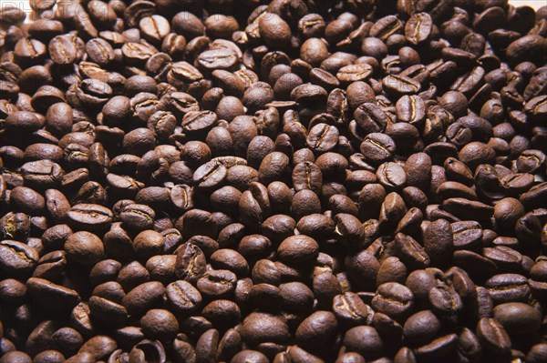 Roasted coffee beans