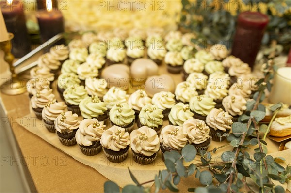 Green and pink cupcakes in circle