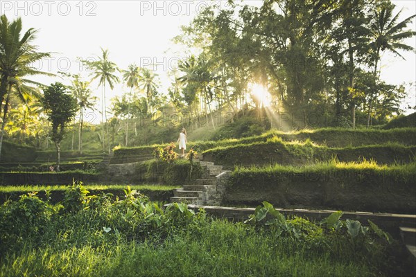 Woman wearing white dress on terraced rice paddies in Bali, Indonesia