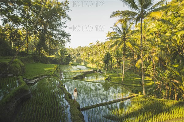 Woman on terraced rice paddies in Bali, Indonesia