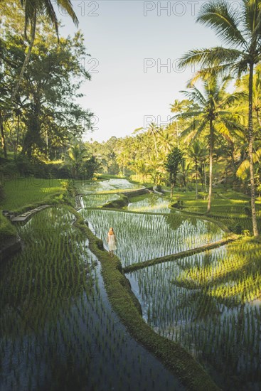 Woman on terraced rice paddies in Bali, Indonesia