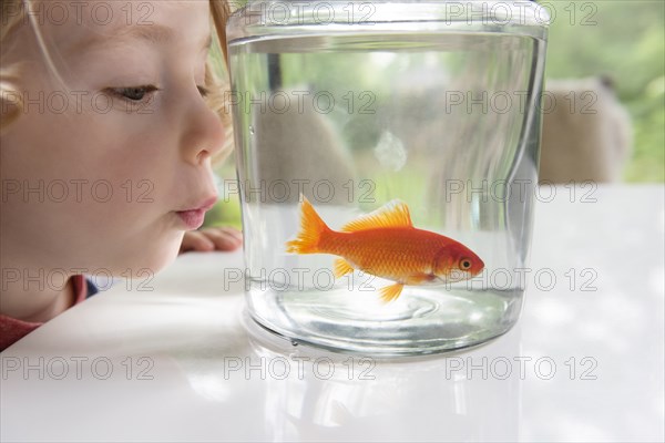Curious boy looking at goldfish in bowl