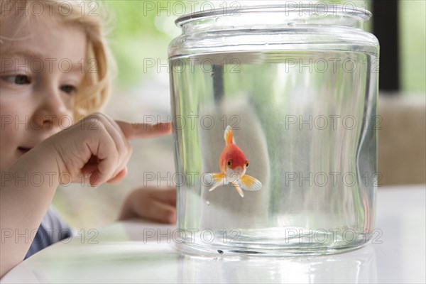 Curious boy pointing at goldfish in bowl