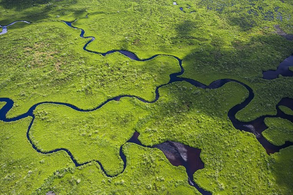 Aerial view of Everglades National Park in Florida, USA