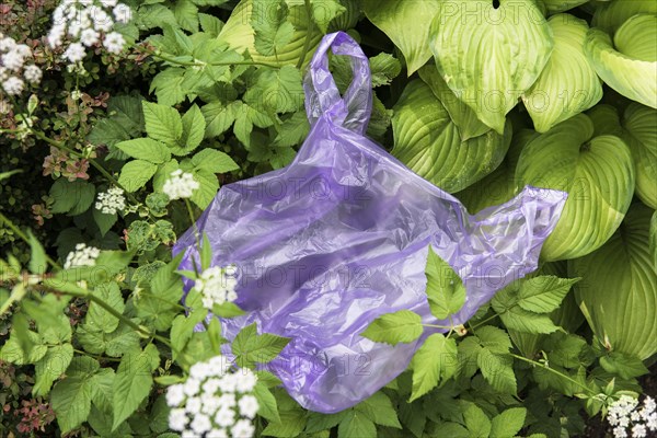 Discarded plastic bag in garden