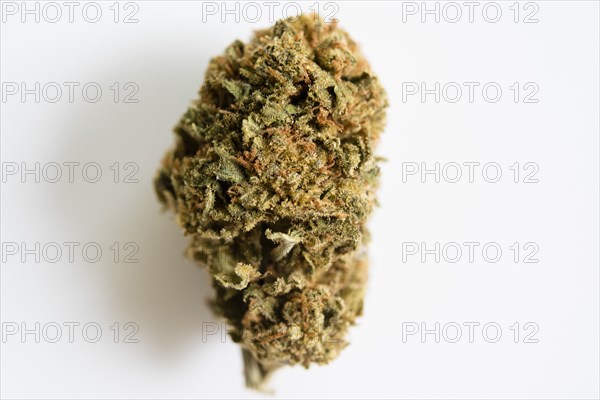 Marijuana bud on white background