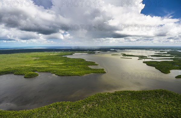 Aerial view of Everglades National Park in Florida, USA