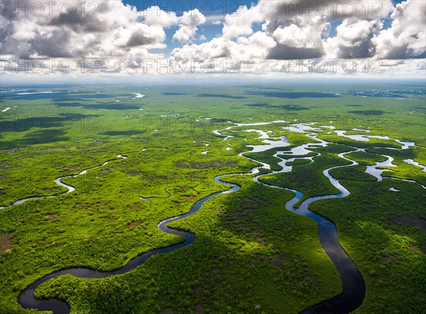 Aerial view of Everglades National Park in Florida, USA