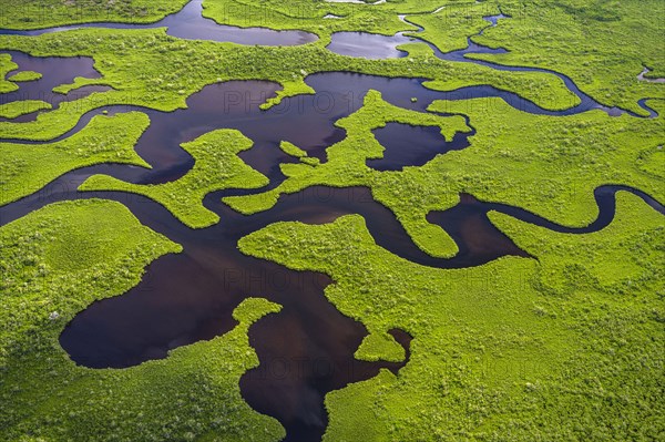 Aerial view of Everglades National Park in Florida, USA