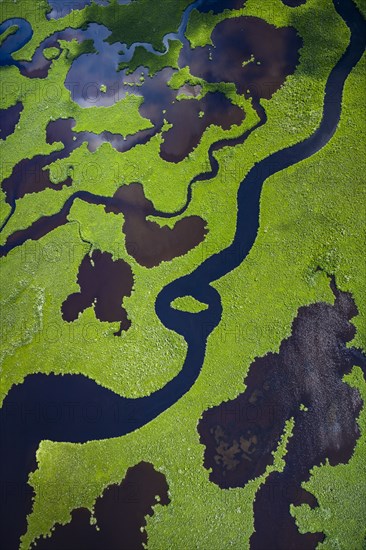 Aerial view of Everglades National Park in Florida, USA