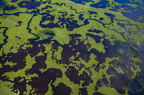 Aerial view of Everglades National Park in Florida, USA