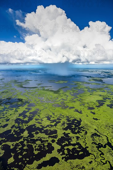 Aerial view of Everglades National Park in Florida, USA