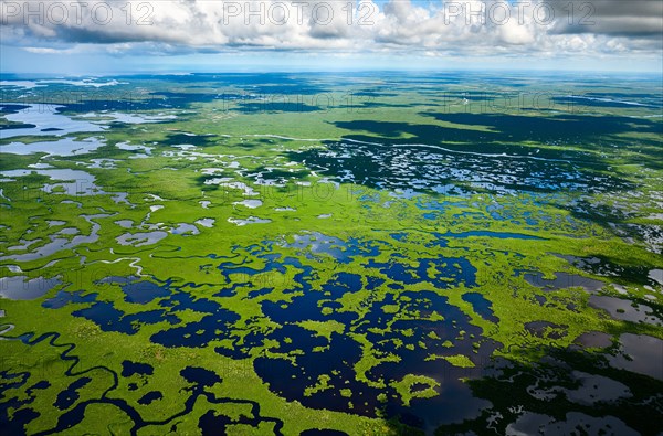 Aerial view of Everglades National Park in Florida, USA