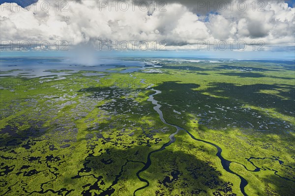 Aerial view of Everglades National Park in Florida, USA