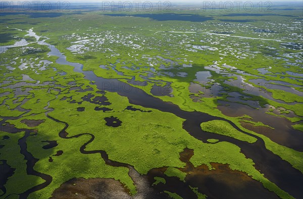 Aerial view of Everglades National Park in Florida, USA