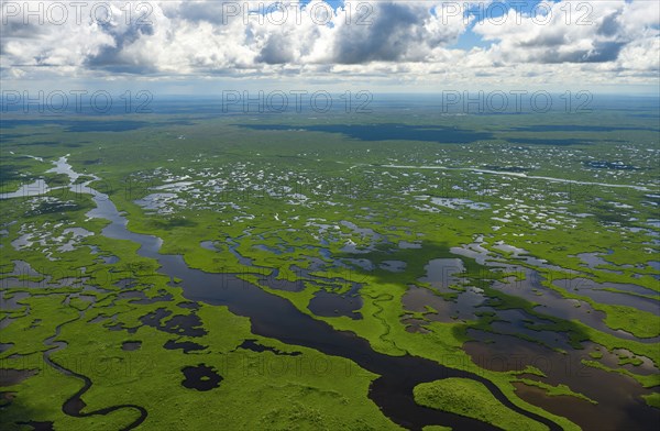 Aerial view of Everglades National Park in Florida, USA