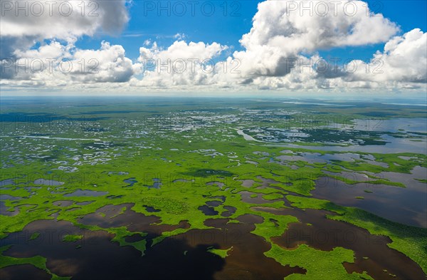 Aerial view of Everglades National Park in Florida, USA