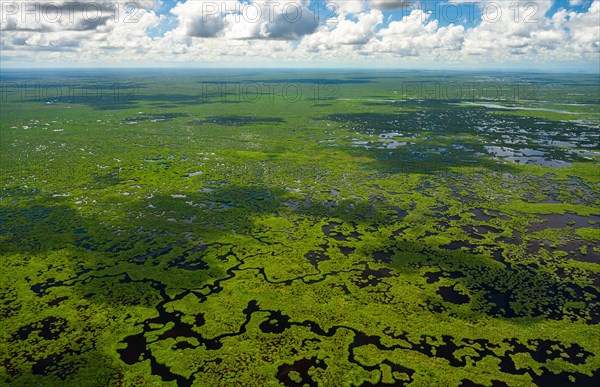 Aerial view of Everglades National Park in Florida, USA