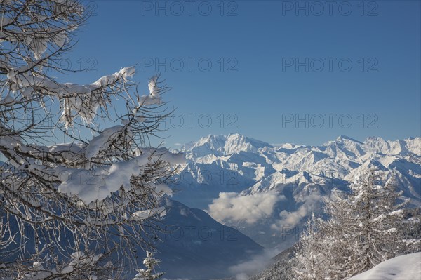 Bare trees by mountains in Piedmont, Italy