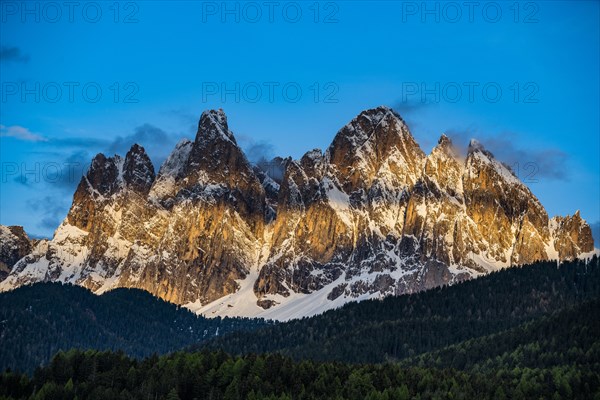 Forest by mountain peaks in Dolomites, Italy