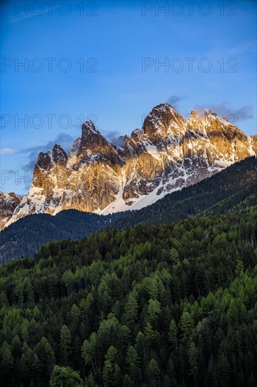 Forest by mountain peaks in Dolomites, Italy