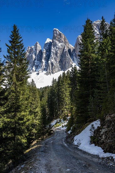 Road through forest under mountain in Dolomites, Italy