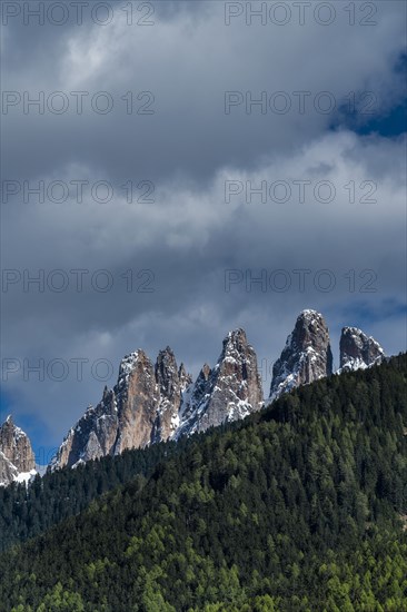 Forest by mountain peaks in Dolomites, Italy