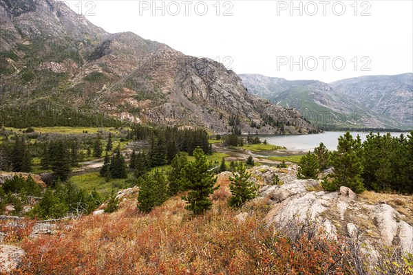 Mountains and forest in Montana, USA