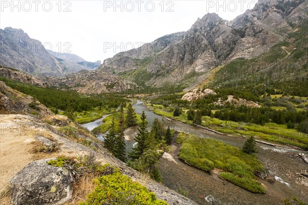 Mountains and forest in Montana, USA