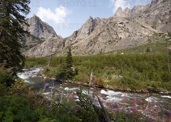 Mountains and river in Montana, USA