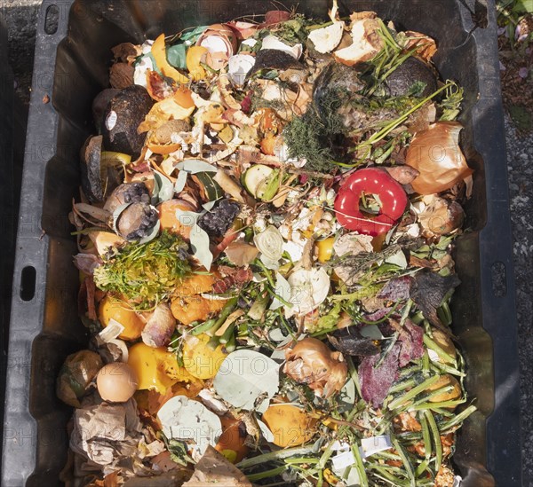 Leftovers in compost container