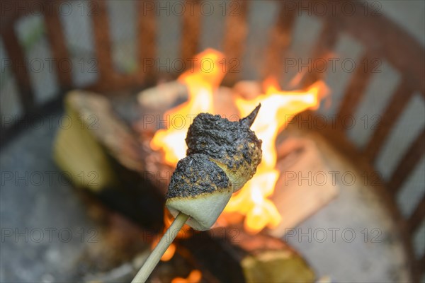 Marshmallow being toasted over brazier