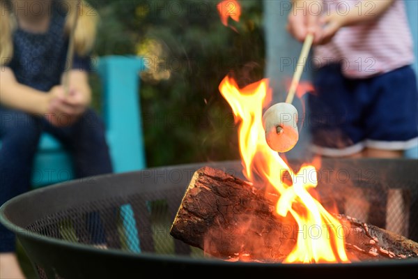 Family toasting marshmallows over brazier