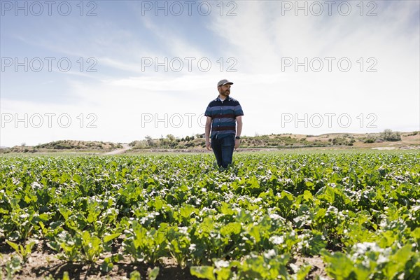 Man walking in crop field