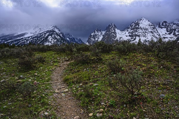 Snowcapped mountains by bush land in Grand Teton National Park