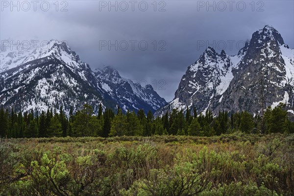 Snowcapped mountains by bush land in Grand Teton National Park