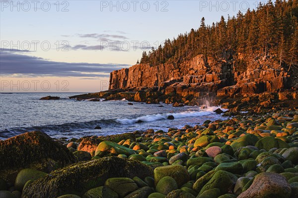 Otter Cliff at sunrise in Acadia National Park