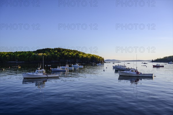 Fishing boats in Bar Harbor