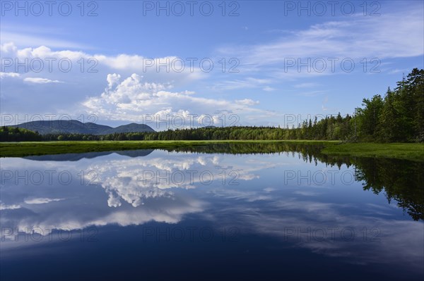 Clouds reflected in lake in Acadia National Park
