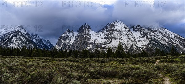 Snowcapped mountains by bush land in Grand Teton National Park