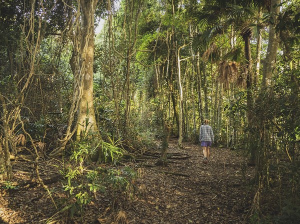Woman walking in forest in Myall Lakes National Park