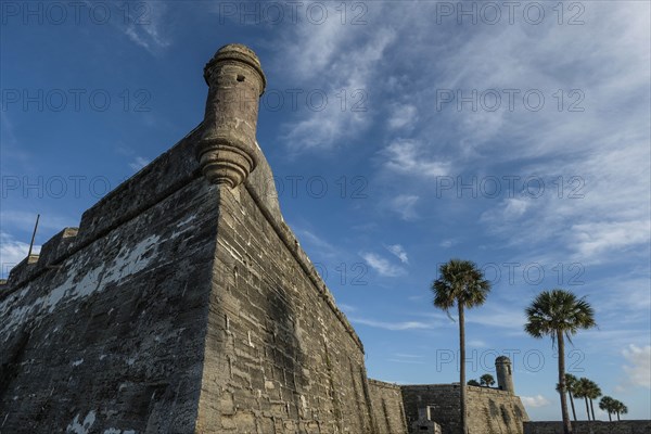 Palm trees by Castillo de San Marcos in St. Augustine