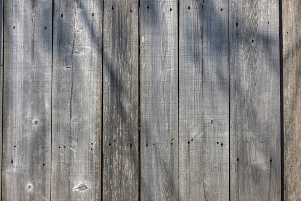 Wooden wall