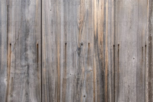 Wooden wall