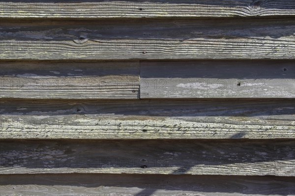 Wooden wall