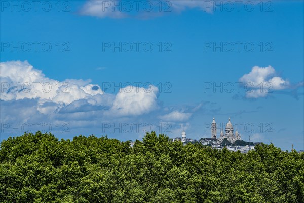 Trees in front of Sacre-Coeur in Paris