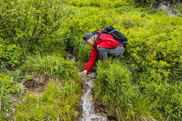 Senior man drinking from stream