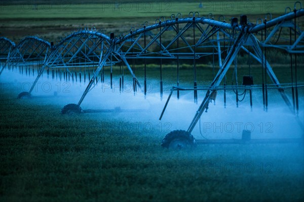 Irrigation system spraying crop field at sunset